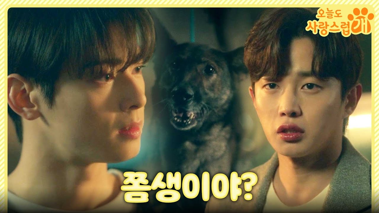 [오늘도 사랑스럽개] ＂네 여자친구 진짜 이쁘더라?＂ 차은우를 찾아와 자극하는 김민석💥, MBC 231122 방송