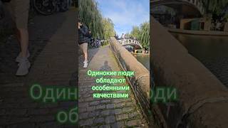 Одинокие люди обладают особенными качествами #отношения #психология #личность #взаимодействие