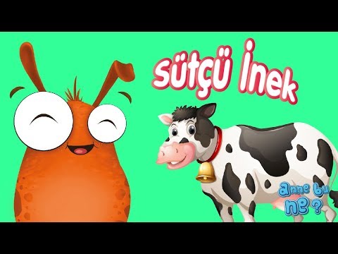 Sütçü İnek | Okul Öncesi Eğitici Animasyon | Anne Bu Ne?