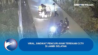 Viral, Sindikat Pencuri Ayam Terekam CCTV di Jambi Selatan