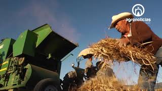 Sader Nuevos Programas