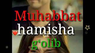 Muhabbat hamisha g‘olib 6 QISM