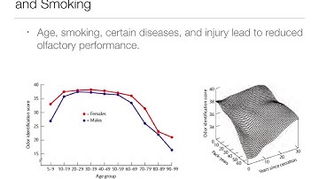 Perception:  13.1   Odors and Adaptation