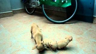 MOV00962.AVI
