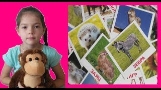 Мира и урок дикие животные. Влог / Lessons about wild animals. Mira and Maxim Мира и урок дикие животные. Влог / Lessons about wild animals. Mira and Maxim
