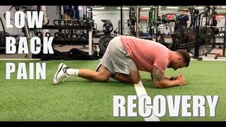 Famous Low Back Pain Recovery Workout For Lifters (Extension Based Low Back Pain) Wealth