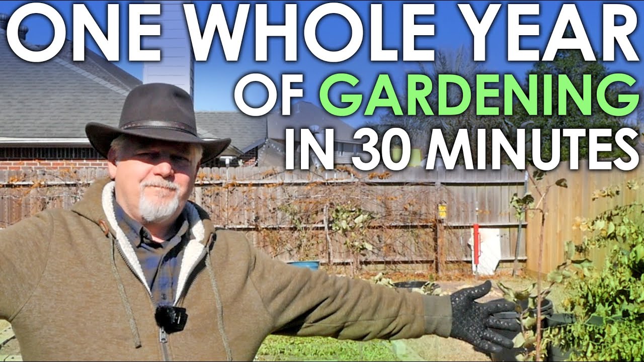 One Whole YEAR of Gardening in 30 Minutes 2022 in Review Black