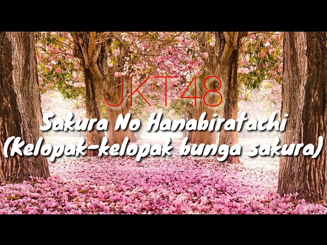 JKT48 - Sakura No Hanabiratachi (Kelopak-kelopak bunga sakura)| Video Lyrics class=