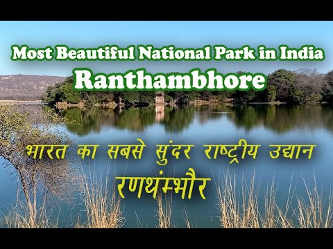 Ranthambore National Park Safari | The Complete Travel Guide