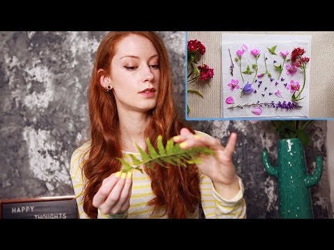 DIY-Flower-Pressing-🌸-🌼-🌹/-Soft-Spoken-ASMR-Tutorial