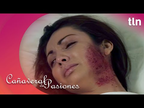Mireya sufre por la pérdida de su bebé | Cañaveral de pasiones Capítulo 88 (Parte 1) | tlnovelas