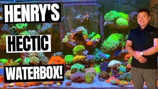 Henry's Hectic Waterbox!