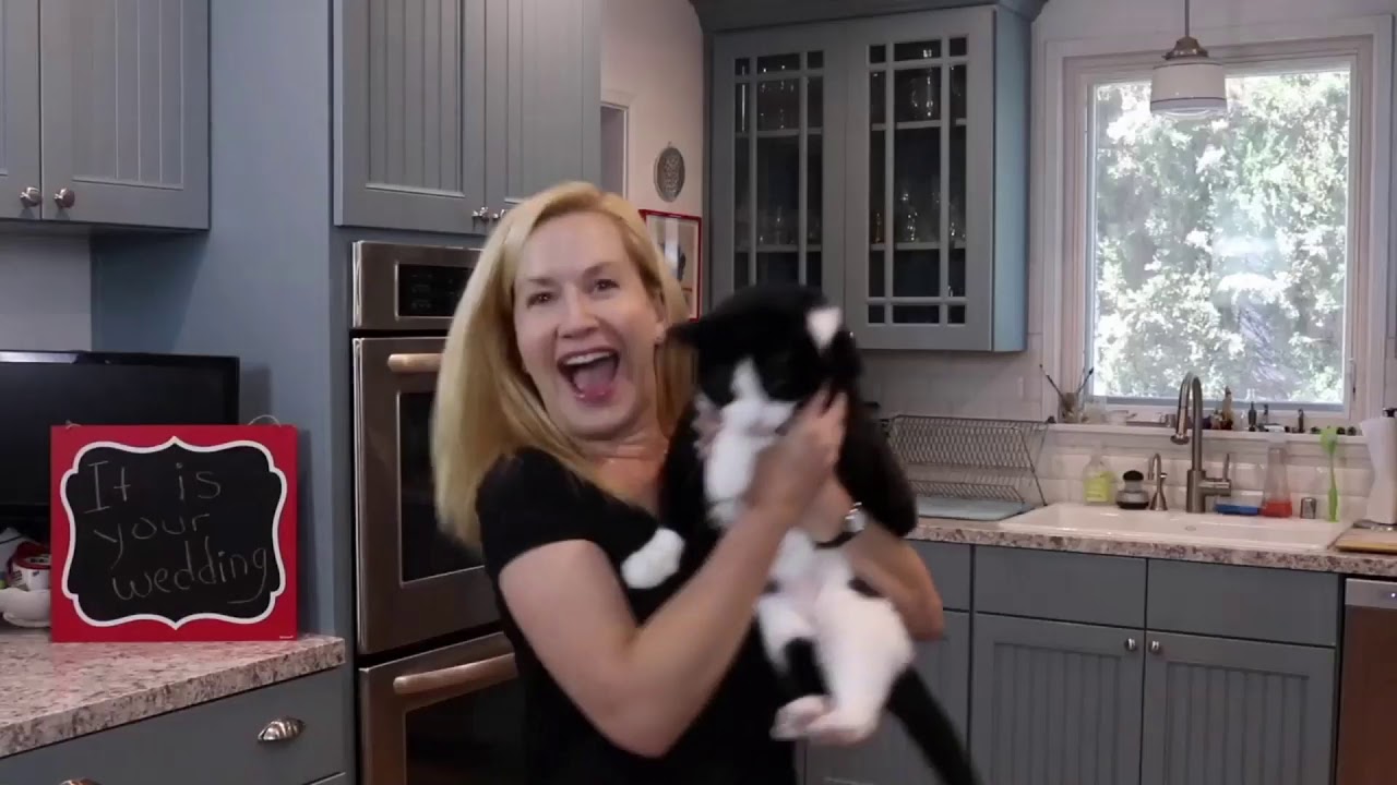 Office Cast Reunites For Couples Zoom Wedding YouTube