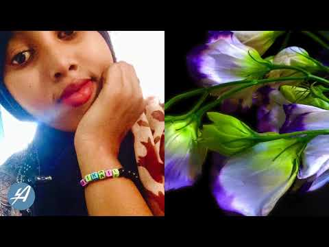 hq audio hq audio NAJMO NASHAAD | ALLOW SAHAL AMUURAHA | LYRICS | 2018 4K