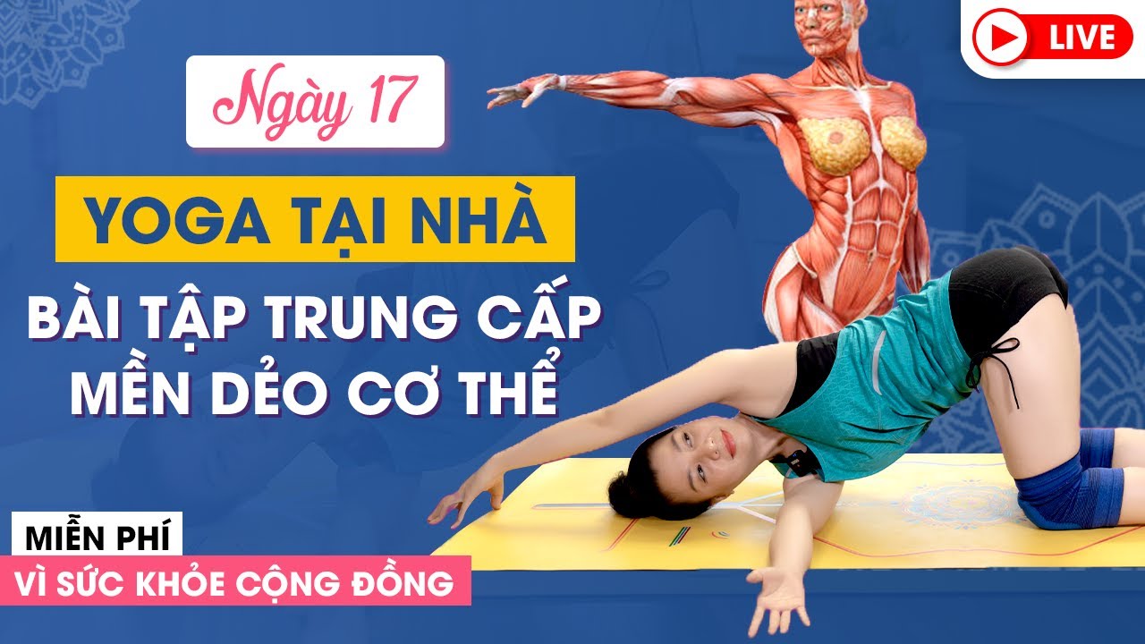Yoga Trực Tuyến Tại Nhà_ Bài 17 Mềm dẻo toàn thân -... - youtube