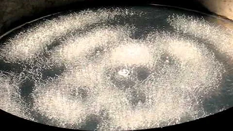 Caroline Locke - Sound Fountains