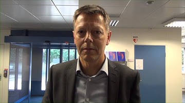 Quotes from VISION2020 experts groups members (2).