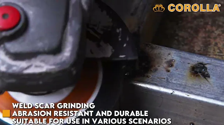 CA060940-CA061060 4 inch flap disc with 40 and 60 grit iron cover with inner box