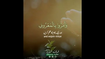 🤍الذين إن مكناهم في الأرض 🍃✨ سورة الحج:٤١|أحمد خضر|Surah al Hajj:41|Ahmed Khedr
