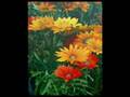 Flower paintings by latif maulan