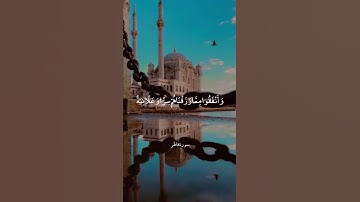 إن الذين يتلون كتاب الله وأقاموا الصلاة || من سورة فاطر || ترتيل بصوت الشيخ علي جابر