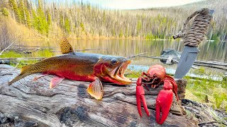 SOLO Mountain Crawfish & Trout Fishing!!! (Catch & Cook)