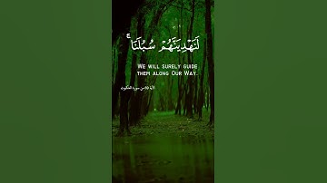 وَالَّذِينَ جَاهَدُوا فِينَا لَنَهْدِيَنَّهُمْ سُبُلَنَا 😍#quran #فارس عباد #تلاوة #تلاوة خاشعة #تل