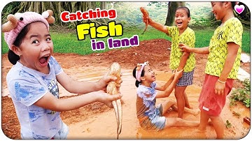 Catching Fish in Land After the Rain | Bắt Cá Sau Mưa 💗 Lộc TiVi