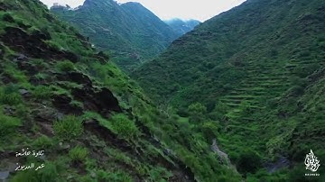 تلاوة تفوق الوصف للقارئ عمر الدريويز ( الله خالق كل شيء وهو على كل شيء وكيل )