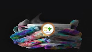 Happy Holi Status 2023 | Happy Holi Status | Happy Holika Dahan Status | Holika Dahan 2023 Status |