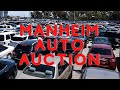 MANHEIM AUTO AUCTION PREVIEW & TEST DRIVE OF USED CARS | CAR DEALER AUCTION ACCESS