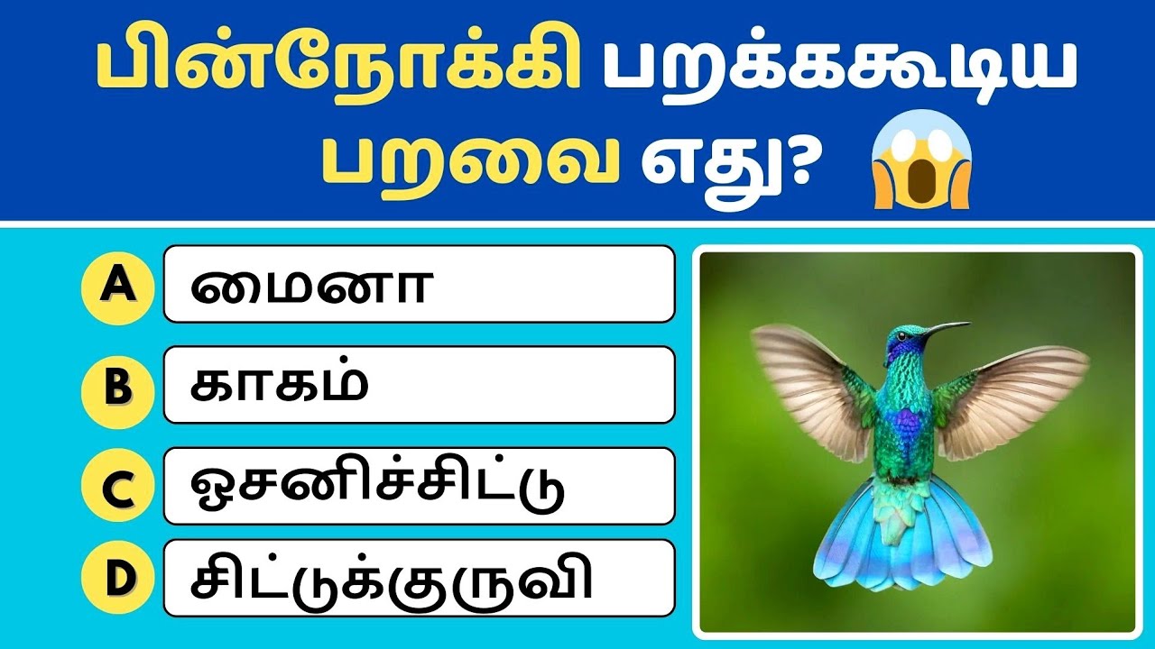 💡 புத்திசாலியா நீங்க? | Super 20 GK Quiz in Tamil 😎