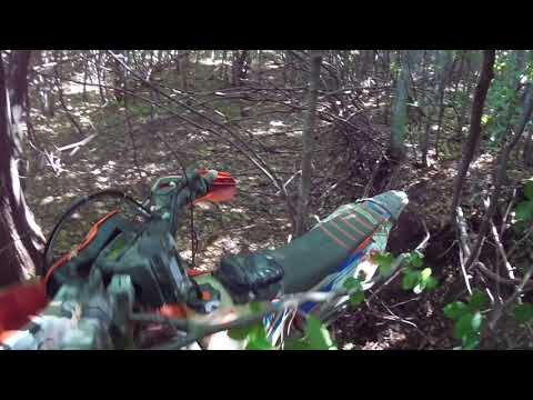 six-days-crazy-job-2019-lost-in-bulgaria