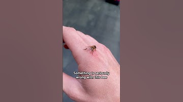 Maybe she’ll make it