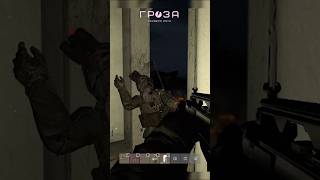 ЗЕЛЕНОГОРСКИЕ РАЗМЕНЩИКИ | DAYZ GROZA #pvp #action