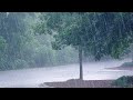 Weather in germany || last evning Weather || thunderstorm with rain .