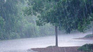 Weather in germany || last evning Weather || thunderstorm with rain .
