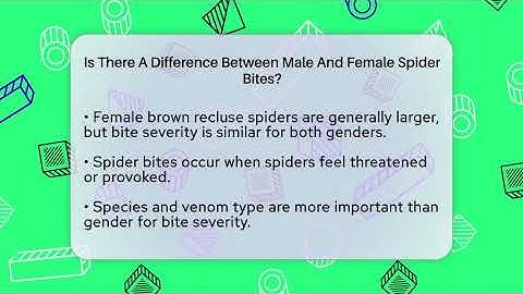 Is There A Difference Between Male And Female Spider Bites? - Insects and Invaders