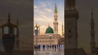 Wo mera nabi hai #islam #freepalestine #shorts #youtubeshorts #shorts #ytshorts #video #yt #naat.