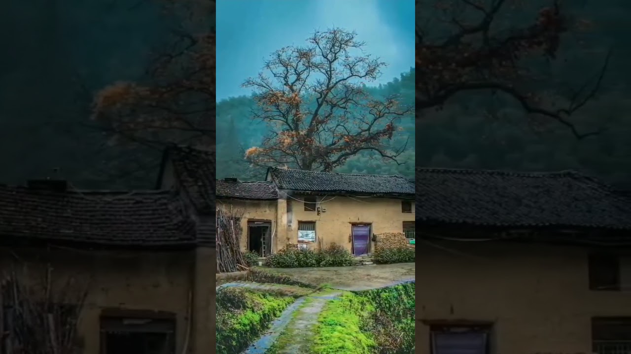 Nature status ️🥰 Nature status video love nature status WhatsApp