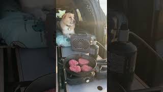 Camp kitchen, dog spot, daily organization, the 4Runner Overland Storage System handles all of it.