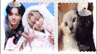 Jaywon TikTok (jay & jungwon)