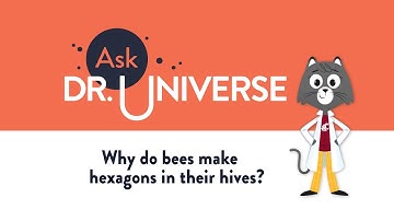 Why Do Bees Make Hexagons In Their Hives?