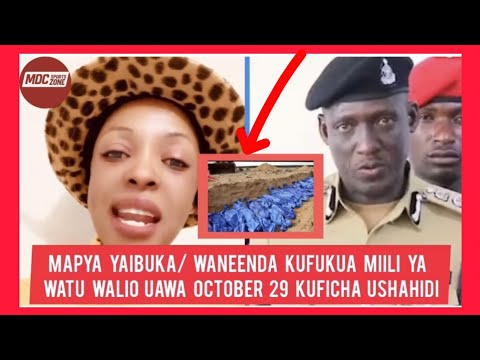 NEW FACTS REVELED THOSE WHO WERE KILLED ON OCTOBER 29 WERE SECRETLY EXPOSED TO HIDE EVIDENCE