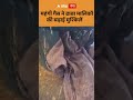 Rampur Commercial Gas Crisis : महंगी गैस ने ढाबा मालिकों की बढ़ाई मुश्किलें | ABP GANGA SHORTS