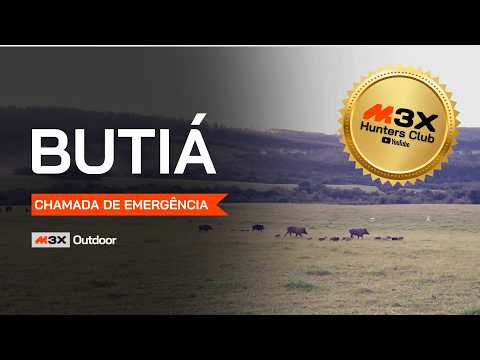 Wild boar hunt in Butiá