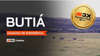 Caçada de Javali em Butiá