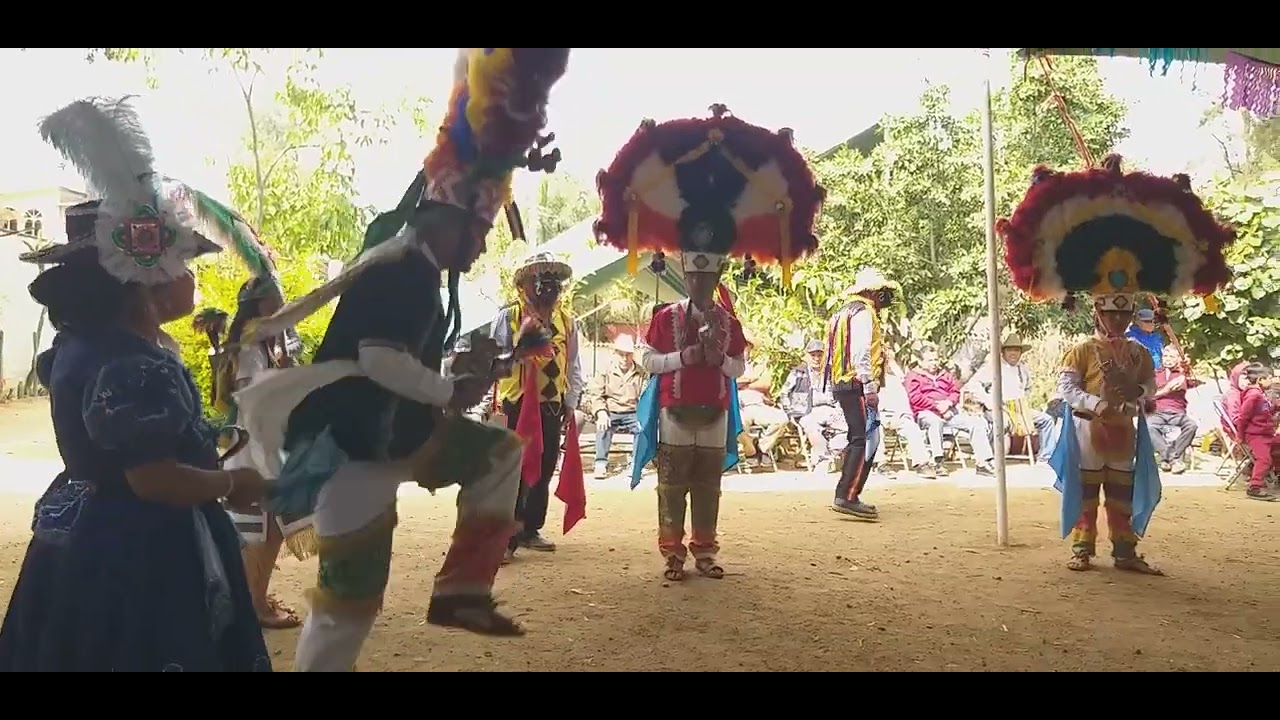 DANZA DE LA PLUMA MAYORDOMÍA SANTIAGO APOSTOL 2026