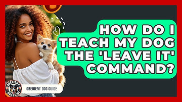 How Do I Teach My Dog The 