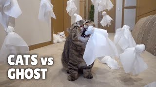 Cats vs Ghost | Kittisaurus screenshot 4